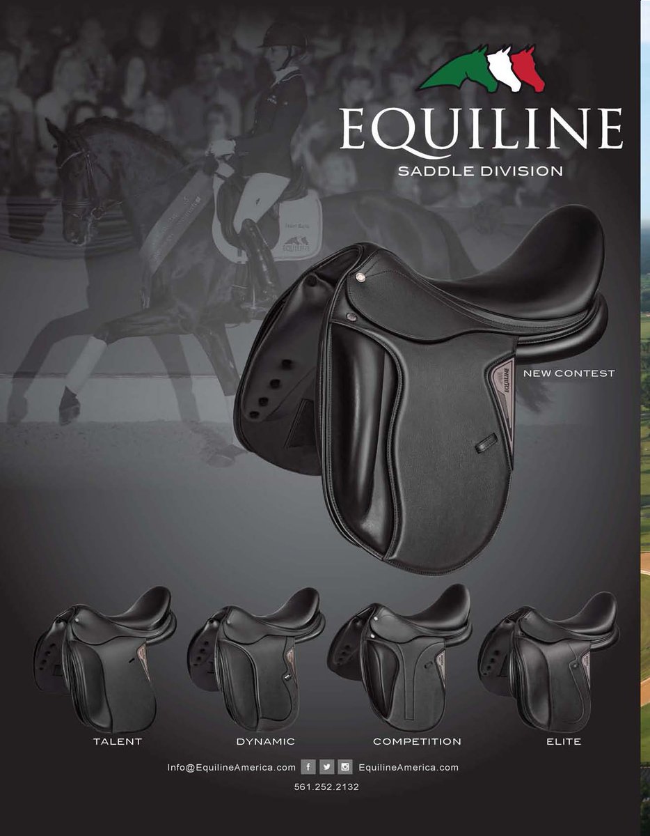 Elite Equestrian magazine eliteequestrianmagazine.com #eliteequestrian #longines #horsesofinstagram #horses #catsofinstagram