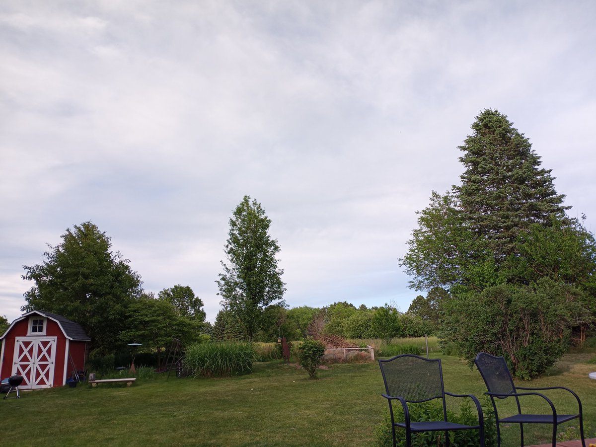 Dreaming about cross country practice on the course, in August! Meet at 8am or 4pm weekdays to be ready to roll when we start the season in 2 months!