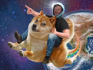 Alex Becker 🍊🏆🥇 tweet media