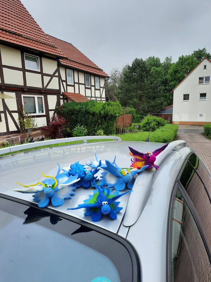 #drachenschnecken