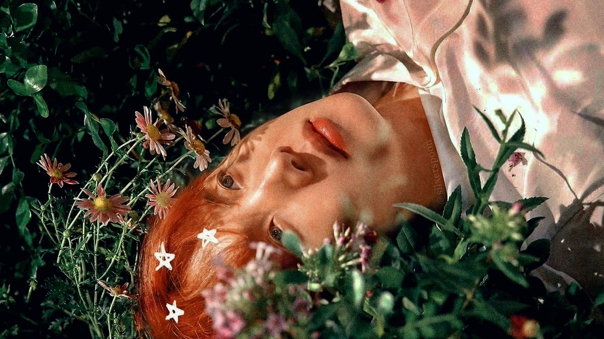 pjmpetiit's tweet photo. #ARSD #ARMYSelcaDay @BTS_twt
O que eu posso fazer é
Fazer uma linda flor
Que pareça com você
Florescer neste jardim, neste mundo🌸🍃 https://t.co/g21xk9nesT