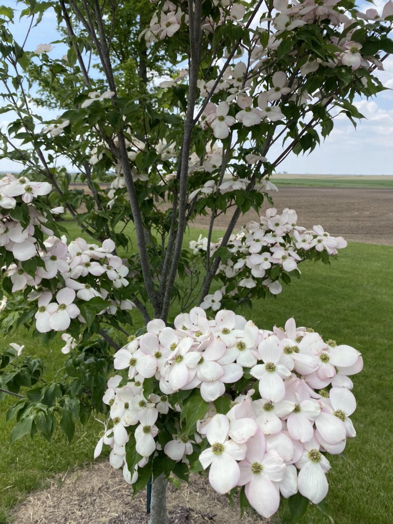 Amy Ranae tweet media