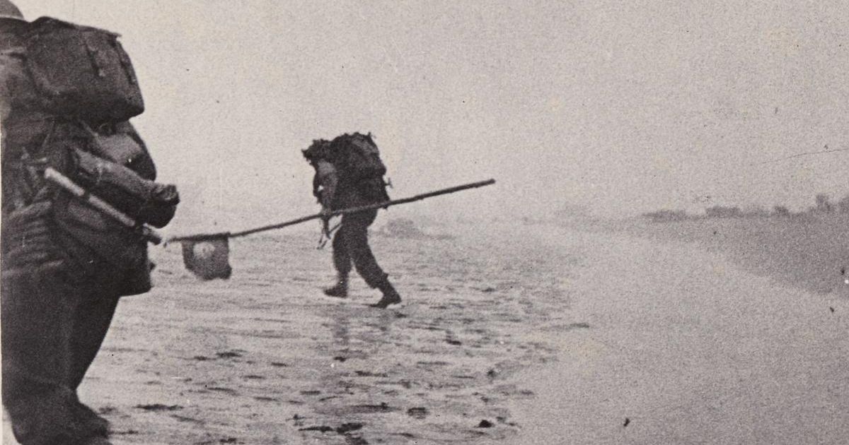 #Hull's D-Day heroes who never returned hulldailymail.co.uk/news/history/h…