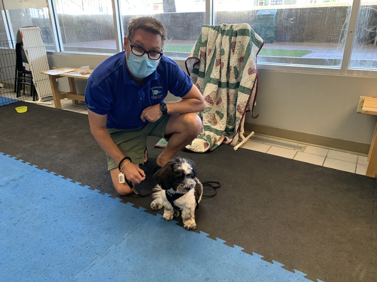 brooksidepet's tweet image. Cricket is the second pup in her family to graduate Puppy Start Right . Congrats to her and family, she will have fun sharing the house with Bunny!