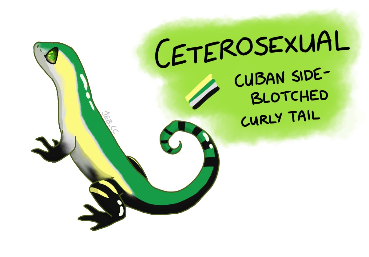 Jeb_CC's tweet photo. LGBT Lizards™! 7th of June | Ceterosexual/Ceteroromantic pride #PrideMonth2021 #PrideMonth #LGBT #PRIDE #ceterosexual #enby https://t.co/EHen6DfbqU