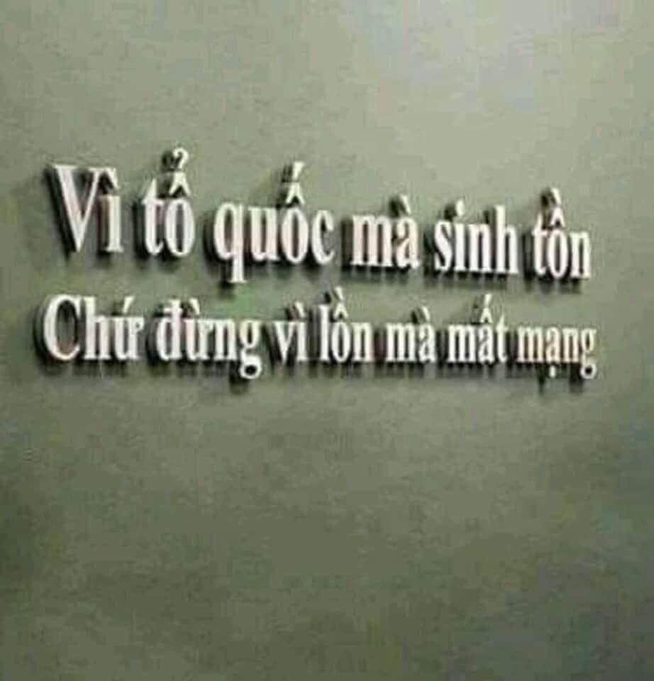 🦅 (@huantra03052329) on Twitter photo 