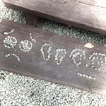 ツイートに含まれる画像