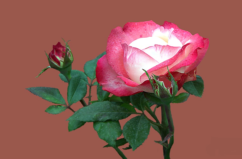 This is....for you only.....🦋