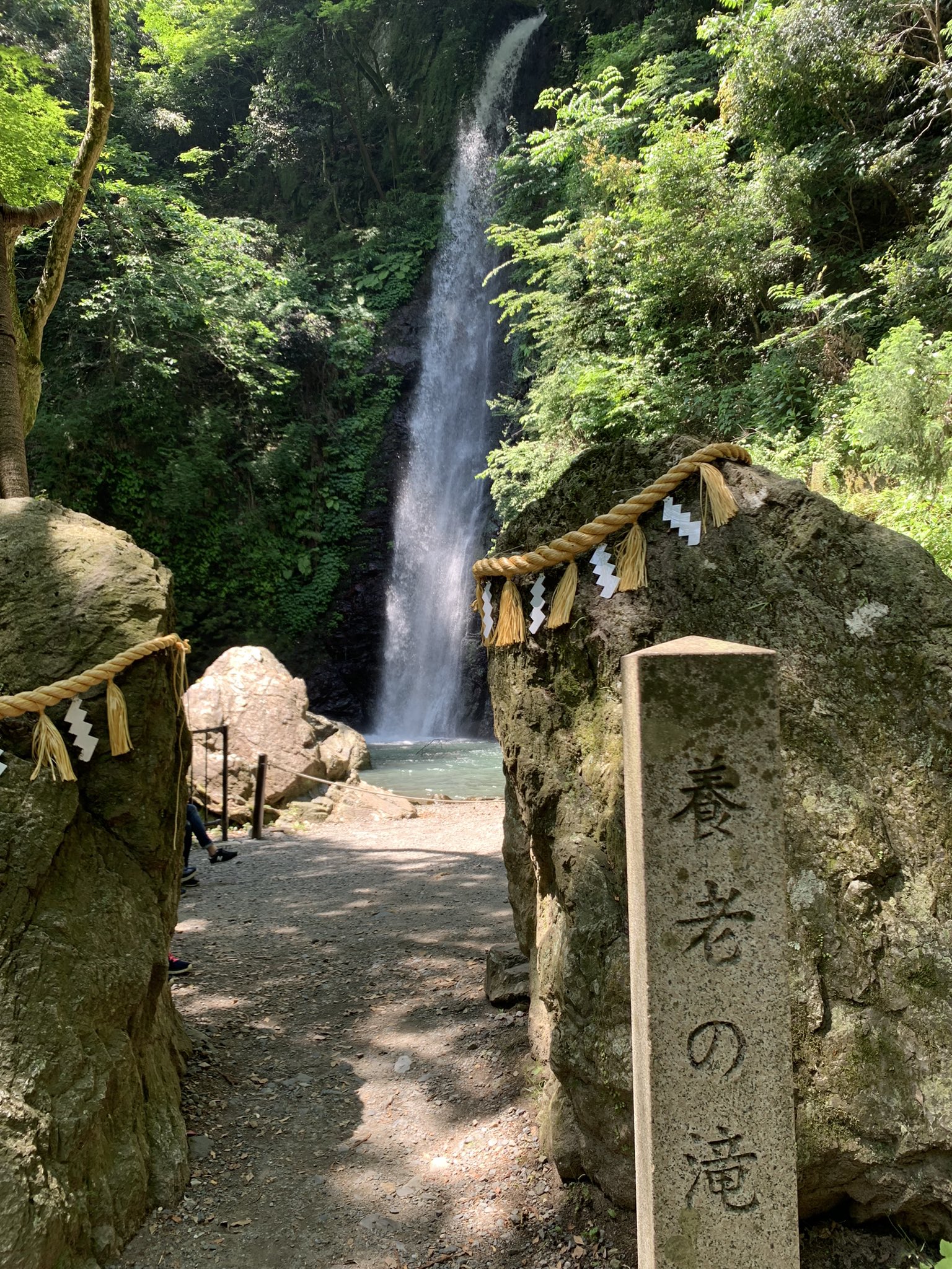 Abu1750a お散歩に養老の滝へ行ったよ 養老の滝にはジム2箇所とポケストップも有ります 養老の滝 ポケモンgo T Co Hqgxfi8ajt Twitter