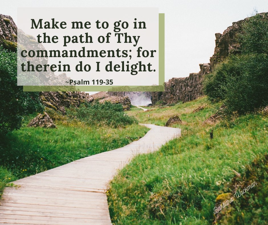 bswackman's tweet photo. Soulful Sunday! 🙌🏼

Is you path leading you to your dreams that God has designed for you? I love this reminder from psalm 119:35. 🙌🏼
#soulfulsunday 
#barbsbestlife https://t.co/nARuycjYnm