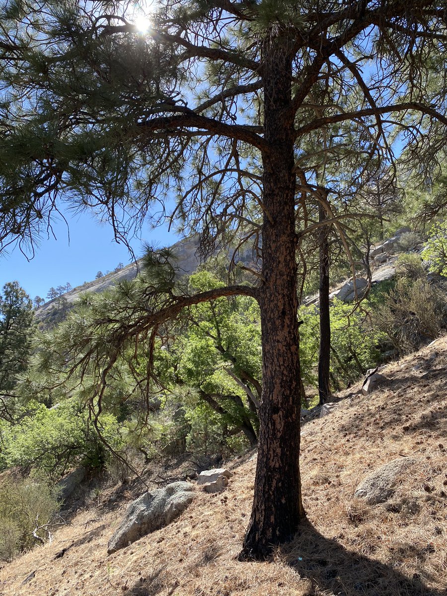DylanJames98's tweet photo. I call my needs from a blinding sun
With everything and all I want
And you were calling me
I heard it in the morning breeze https://t.co/jlJj3Fmzdn