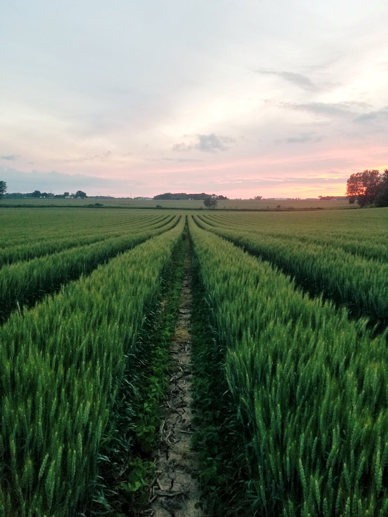 Jason Mauck tweet media