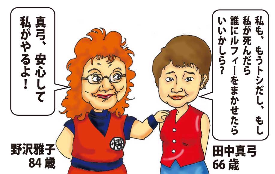 相打 F 奉流侍 A 田中真弓さんが ルフィ役を他の人に譲るなら誰が良いかな と息子さんに聞いたら野沢雅子さんと答え その事を野沢さんに話した時の野沢さんの返答ですね これ
