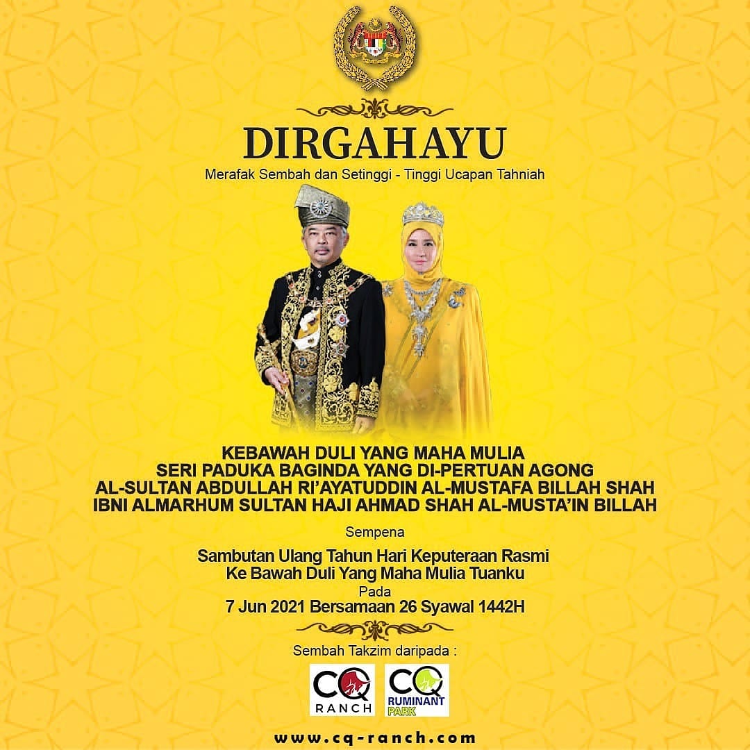 CattleQueenPark's tweet photo. #DaulatTuanku https://t.co/SezaVK5Knq