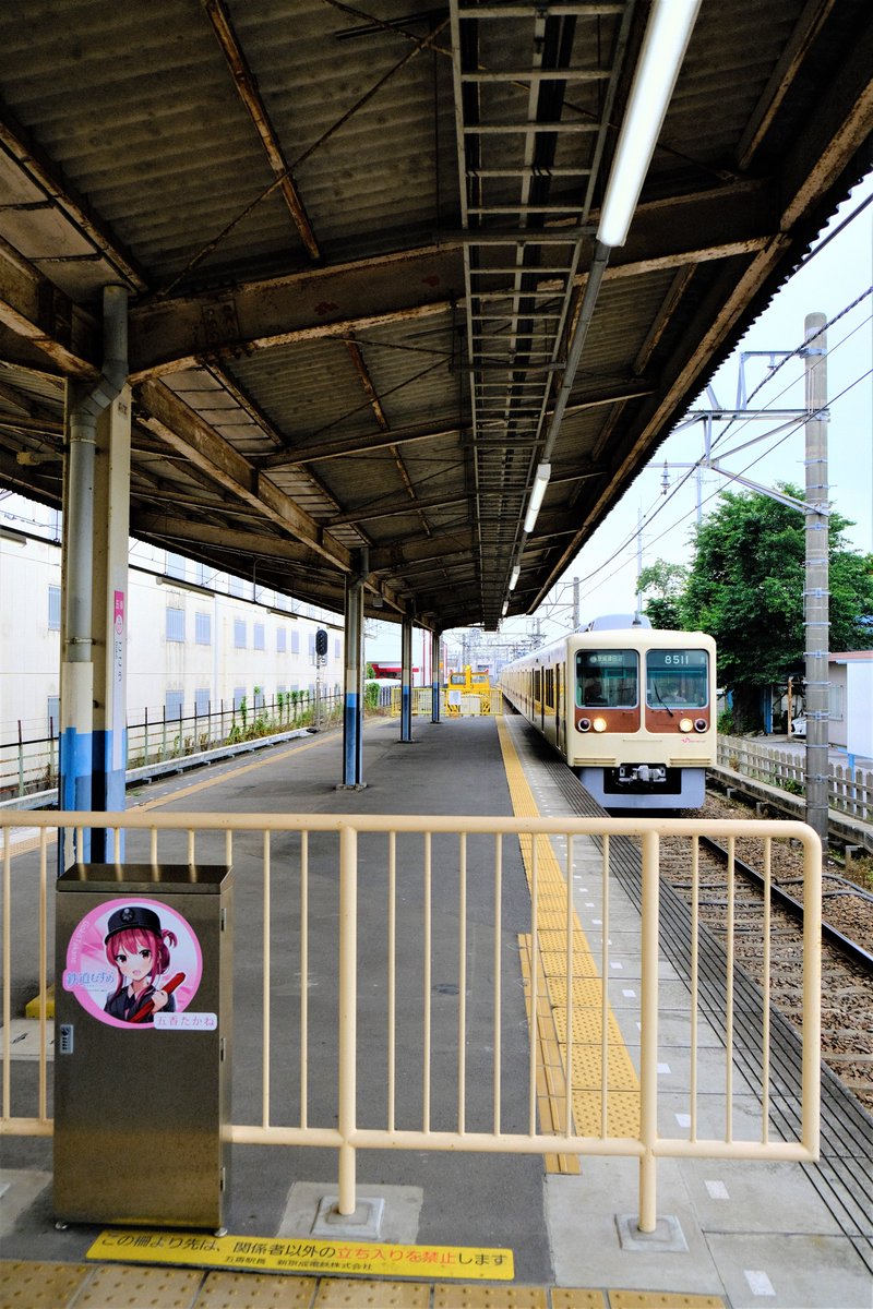 mtlove_800_andd's tweet photo. 2021年6月7日(月)午前の新京成電車撮影記録
復活塗装の8000形8512編成(8512F)が、5月28日(金)以来、1週間と半週ぶりに終日運用に入っていたので、撮影しに行って来ました。今日が引退前最後の終日運用に、なってしまうのでしょうか…
40レ、53レ
#8512F
#新京成電鉄8000形
#新京成電鉄 https://t.co/TBrNeoCyfn