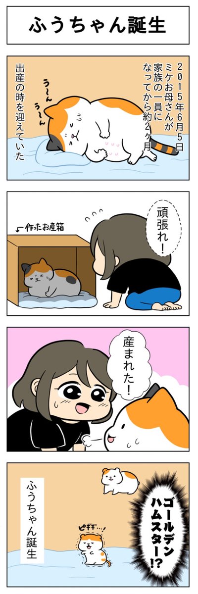 3ヶ月おためし連載中🐈🐈
『ふうらい日和』第2回更新!

(はる蔵さんの「ふうらい日和」)2本目はこちらからチェック⇒https://t.co/N5UhFVlbBD 
