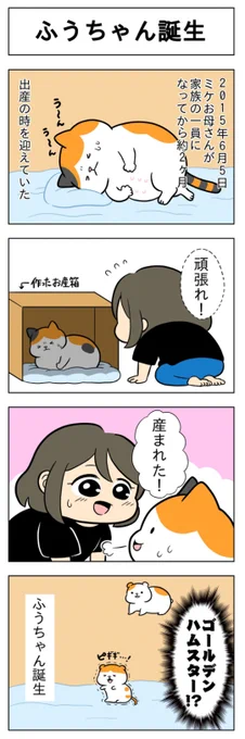 3ヶ月おためし連載中🐈🐈
『ふうらい日和』第2回更新!

(はる蔵さんの「ふうらい日和」)2本目はこちらからチェック⇒https://t.co/N5UhFVlbBD 