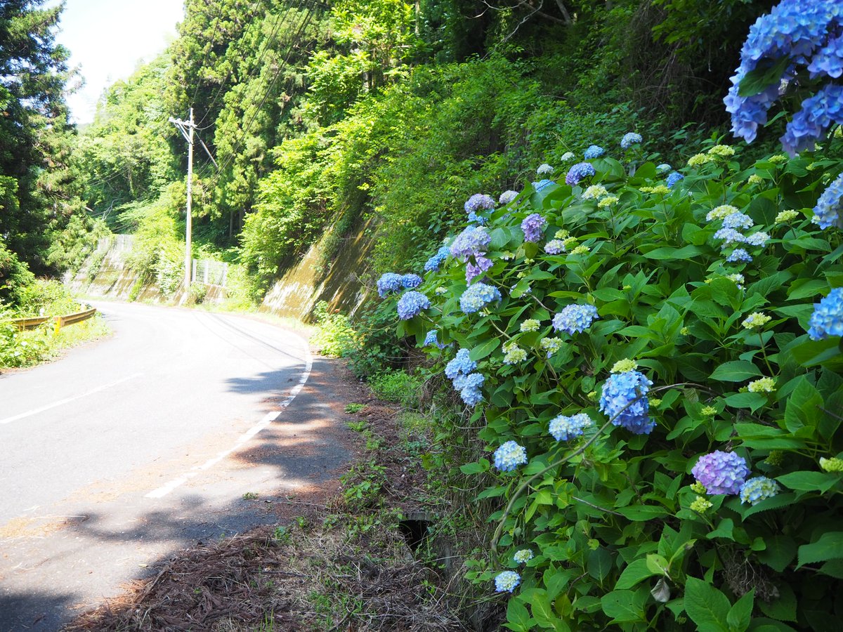 国道376号 通行止に関する今日 現在 リアルタイム最新情報 ナウティス