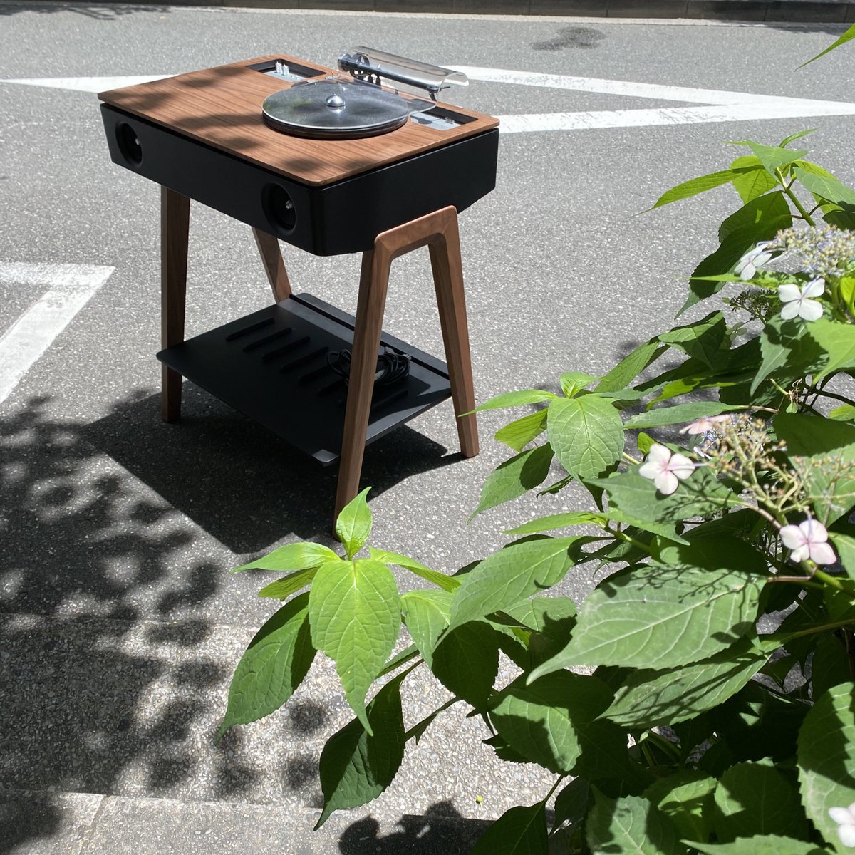 NAVYS_inc's tweet photo. La Boite conceptのLX-TTはレコードプレーヤー付きBluetoothスピーカーです🌿#LaBoiteconcept #レコード #Bluetoothスピーカー #ターンテーブル
#インテリア https://t.co/N4R6ZOxRmq