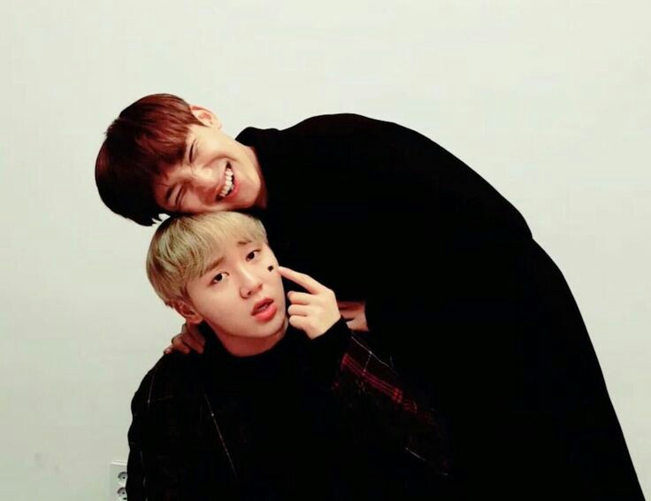 LegendaryShips's tweet photo. BooGyu (Seungkwan and Mingyu of Seventeen) https://t.co/mWQIsyGmmw