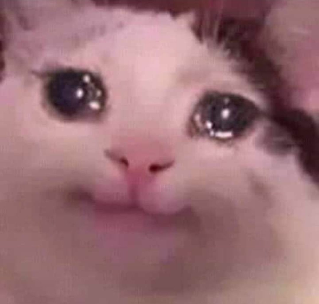 1nfern00's tweet photo. COMOOO QUE PASÓ AQUÍ NOOOO MAAAAAAL
GENTE NO SOMOS ÚLTIMO LUGAR https://t.co/dh1Blm0f5k
