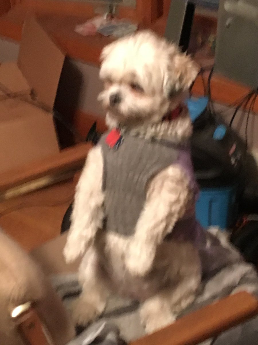 ⁦<a href="/darth/">darth™</a>⁩ defendant pleads not guilty. What say you?