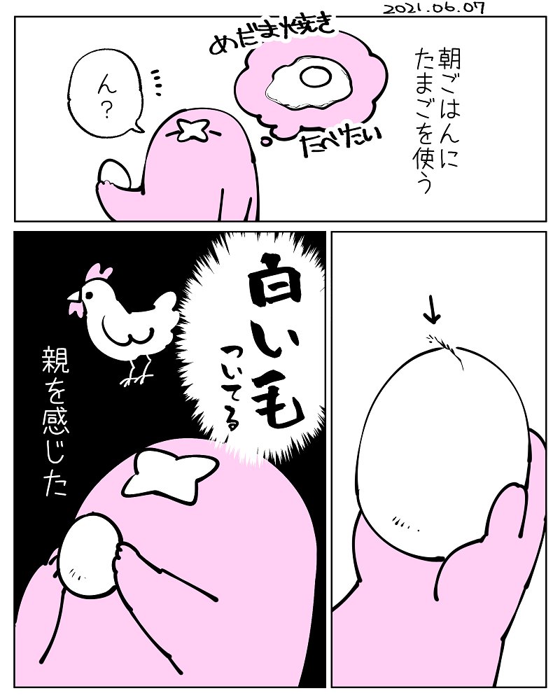 日記🐓🐣🍳 