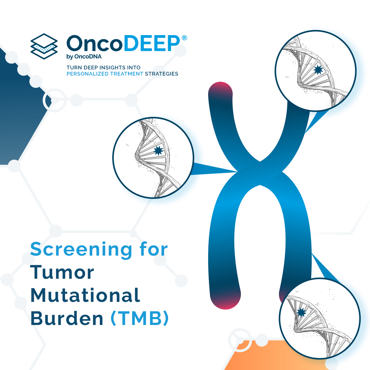 OncoDNA's tweet image. TMB is the total number of mutations in a tumor. If a tumor shows high levels of TMB, it is believed to respond best to immunotherapy.

With our #OncoDEEP test, we can help you measure TMB accurately and predict your patients&apos; response to #immunotherapy.

ow.ly/P8rs50EZc0q