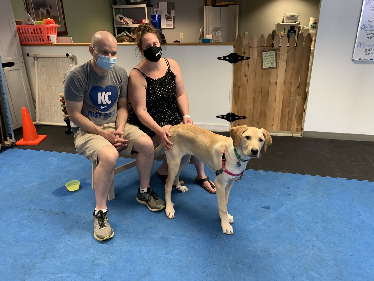 brooksidepet's tweet image. Sweet girl Winnie is all legs right now, kept reminding me of an Imperial Walker from Star Wars . (Her family was very patient with me giggling about that.) She really embodies a gentle giant. Congrats on your graduation from Puppy Start Right !