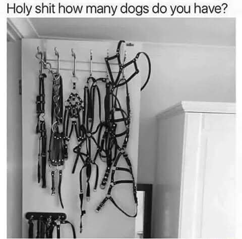 Totally not my drawer... 😉💋😈 #bdsmِ #meme #funny https://t.co/K5DAOg4zDc<a href="/tag/bdsm%D9%90"class="tags">#bdsmِ</a><a href="/tag/meme"class="tags">#meme</a><a href="/tag/funny"class="tags">#funny</a>