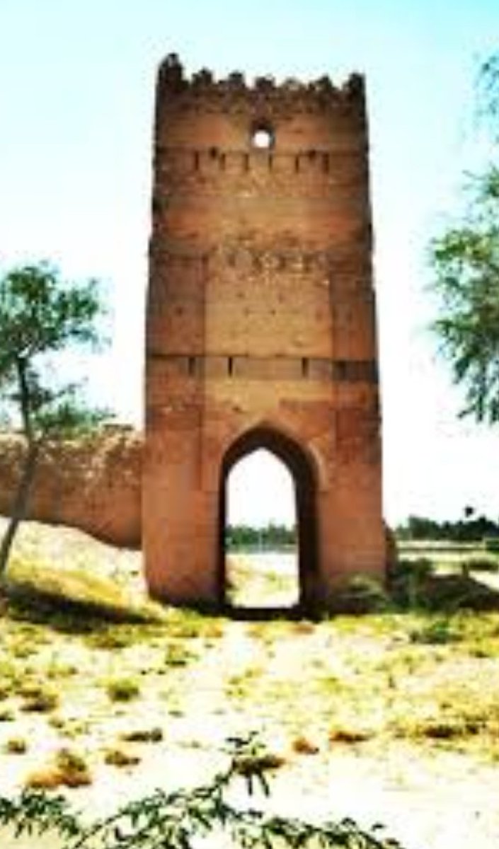 عاشق رابح صقر (@akeagirvru4axzd) on Twitter photo 