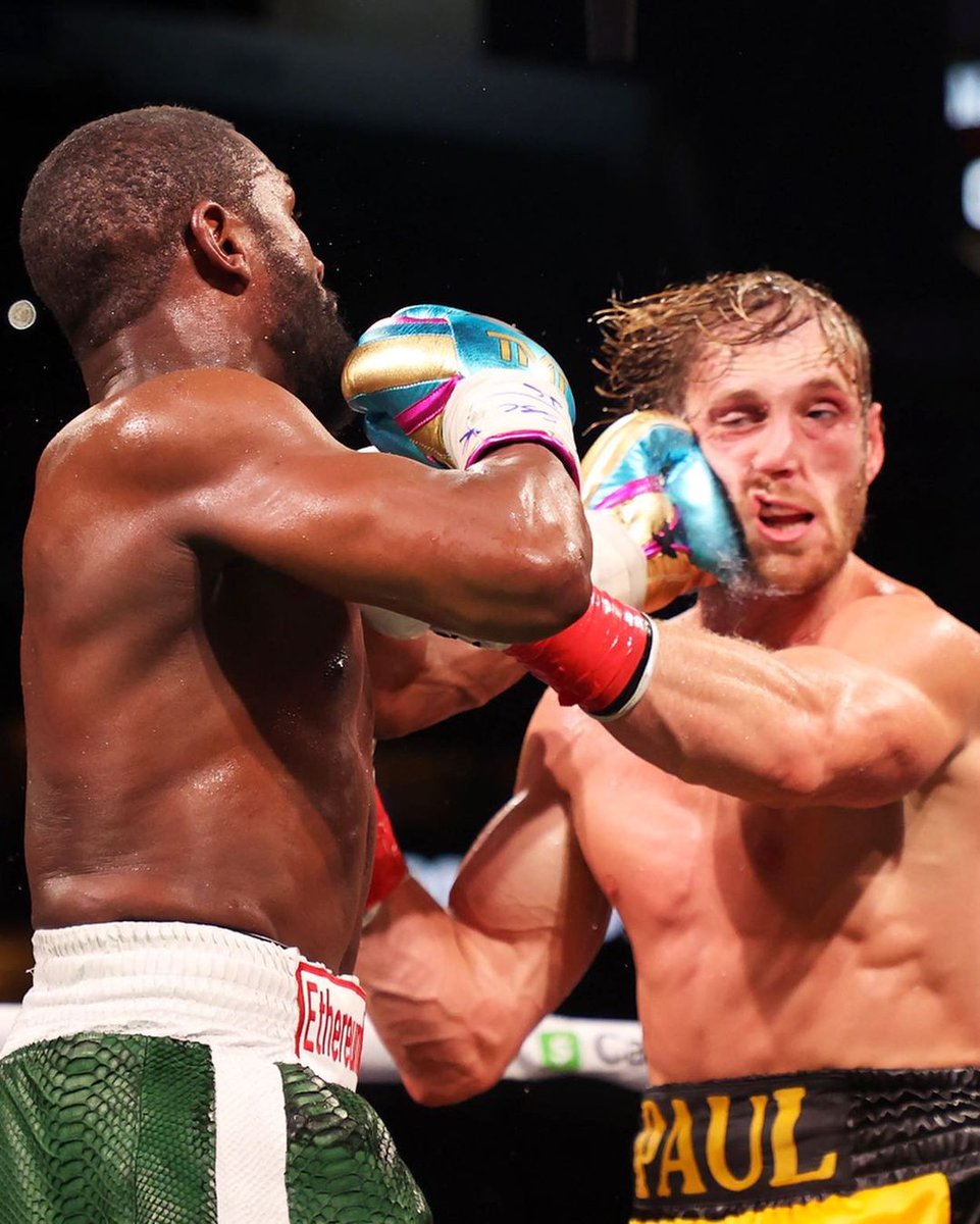 page_mrbeast's tweet photo. @LoganPaul #loganpaulfloydmayweather #floydmayweatherloganpaul #floydmayweatherjr #loganfloyd #floydlogan https://t.co/GrLLRS7FR2