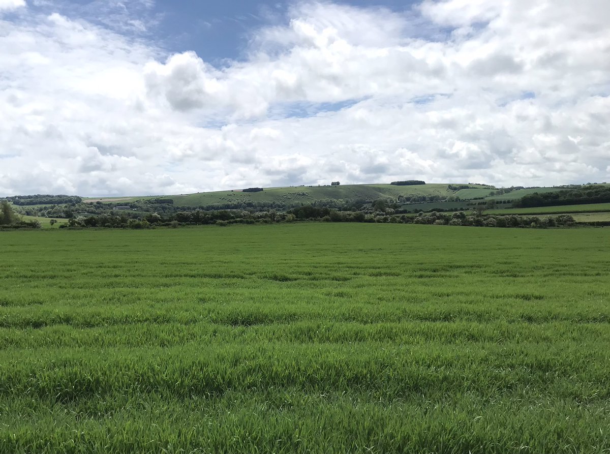 seankayesmith's tweet photo. The fine county of #Wiltshire was looking fabulous yesterday from the #MidWiltsWay from #Ham to #Wootton Rivers: great landscape, amazing skies and endless fascinating paths to walk. https://t.co/IuDveShrbq