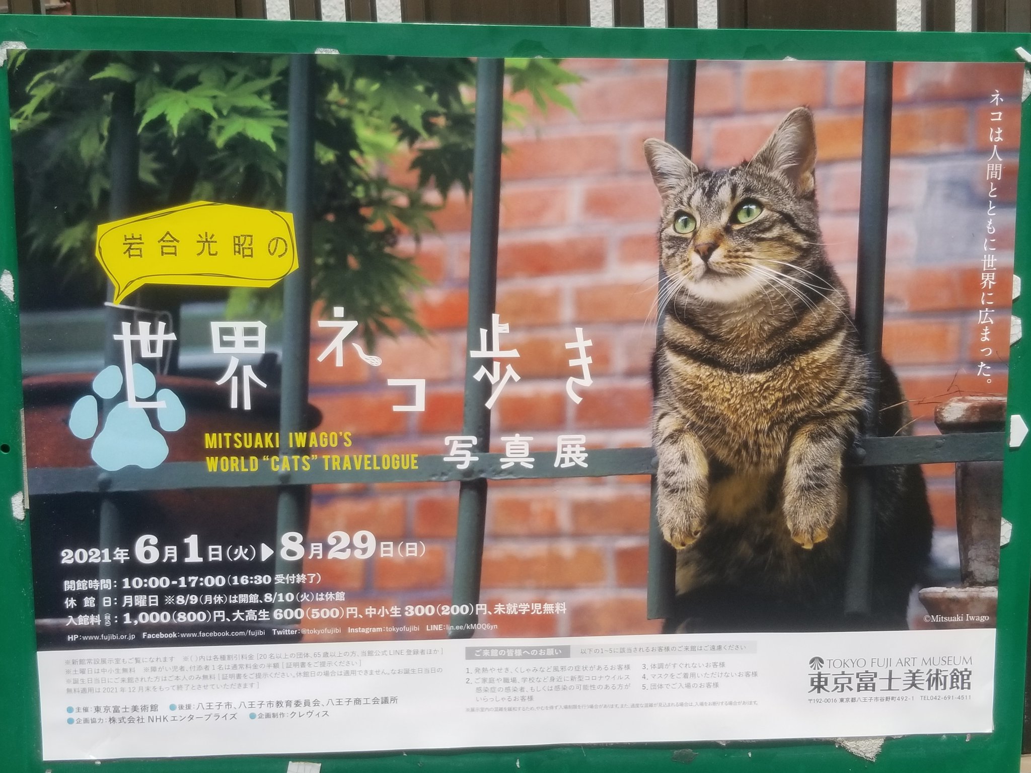アマビエ Pa Twitter 岩合光昭 世界ネコ歩き写真展 東京富士美術館 廿里白山神社に参詣の際に貼ってあったポスター 近いので見に行って見ようっかな T Co Wtm42zo6rz Twitter