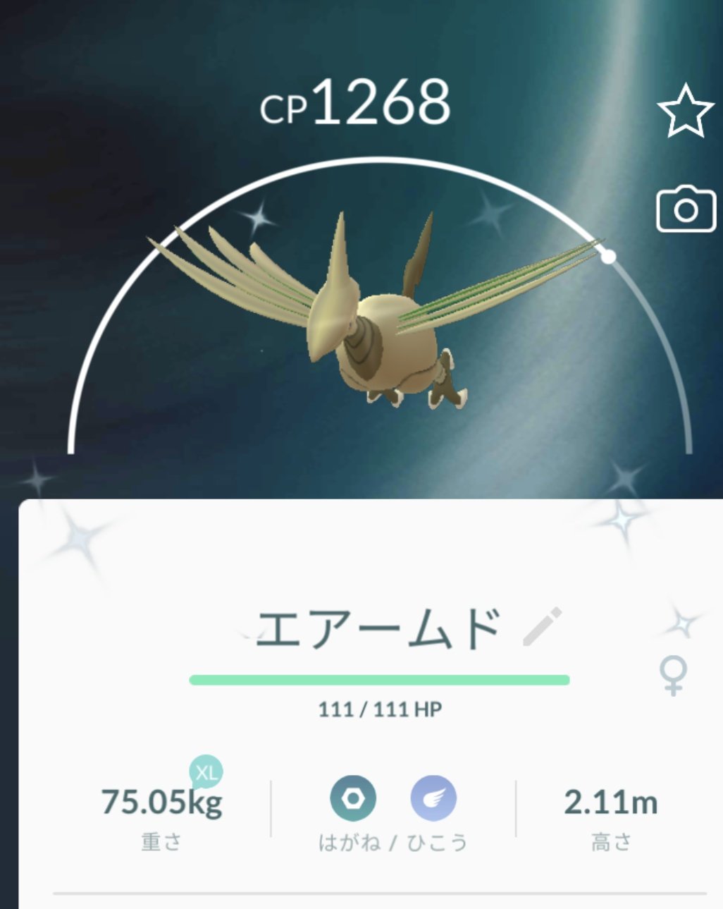 エアームド Twitter Search Twitter
