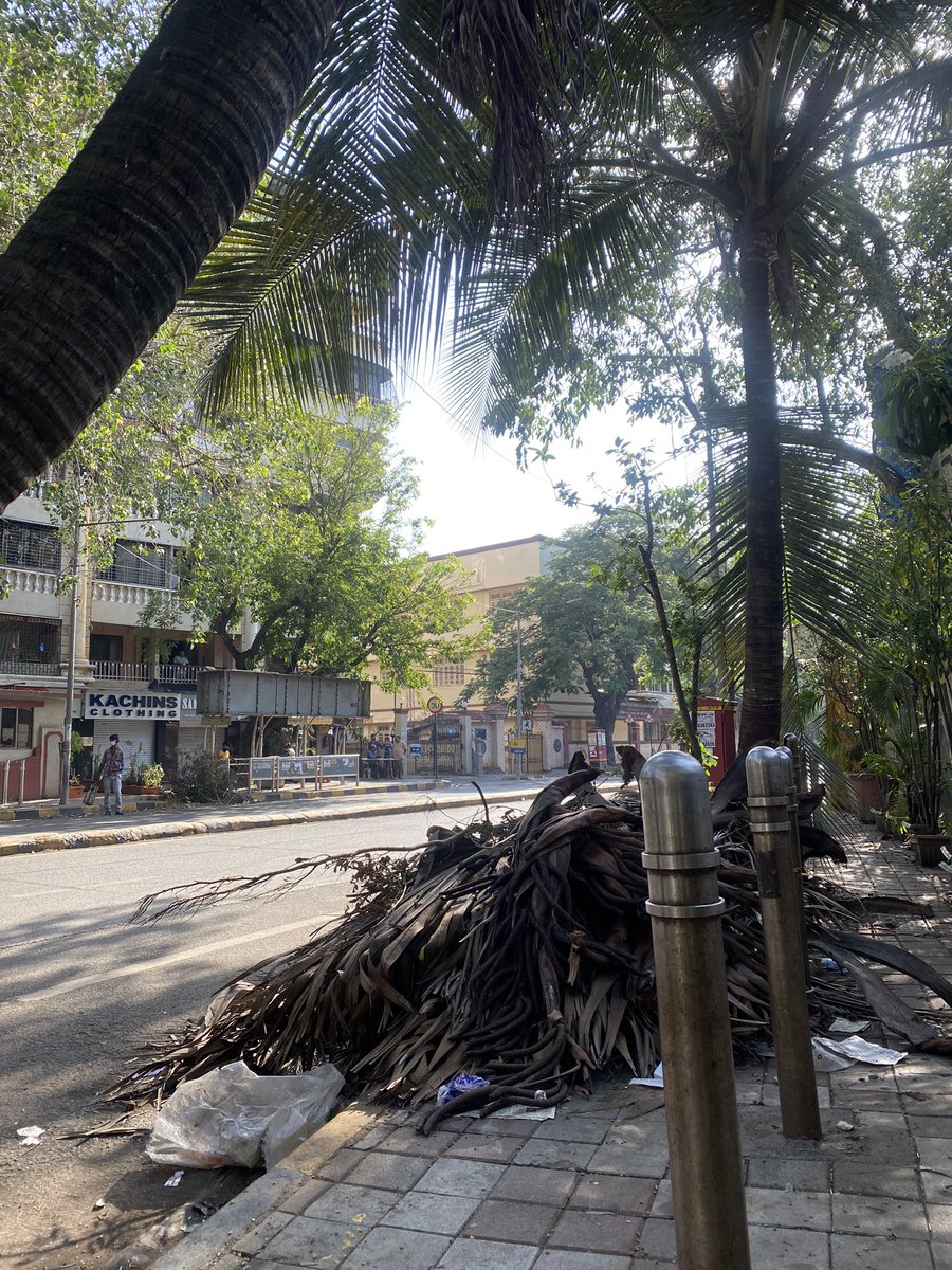 bhallavikas's tweet photo. Fallen tree branches lying on the footpath since a week. Opp St Andrews Church, Bandra. Request the @mybmc @mybmcWardHW to clear the same plz, as it’s causing inconvenience to the passers-by. Thank you. https://t.co/9YhpwIj2QG