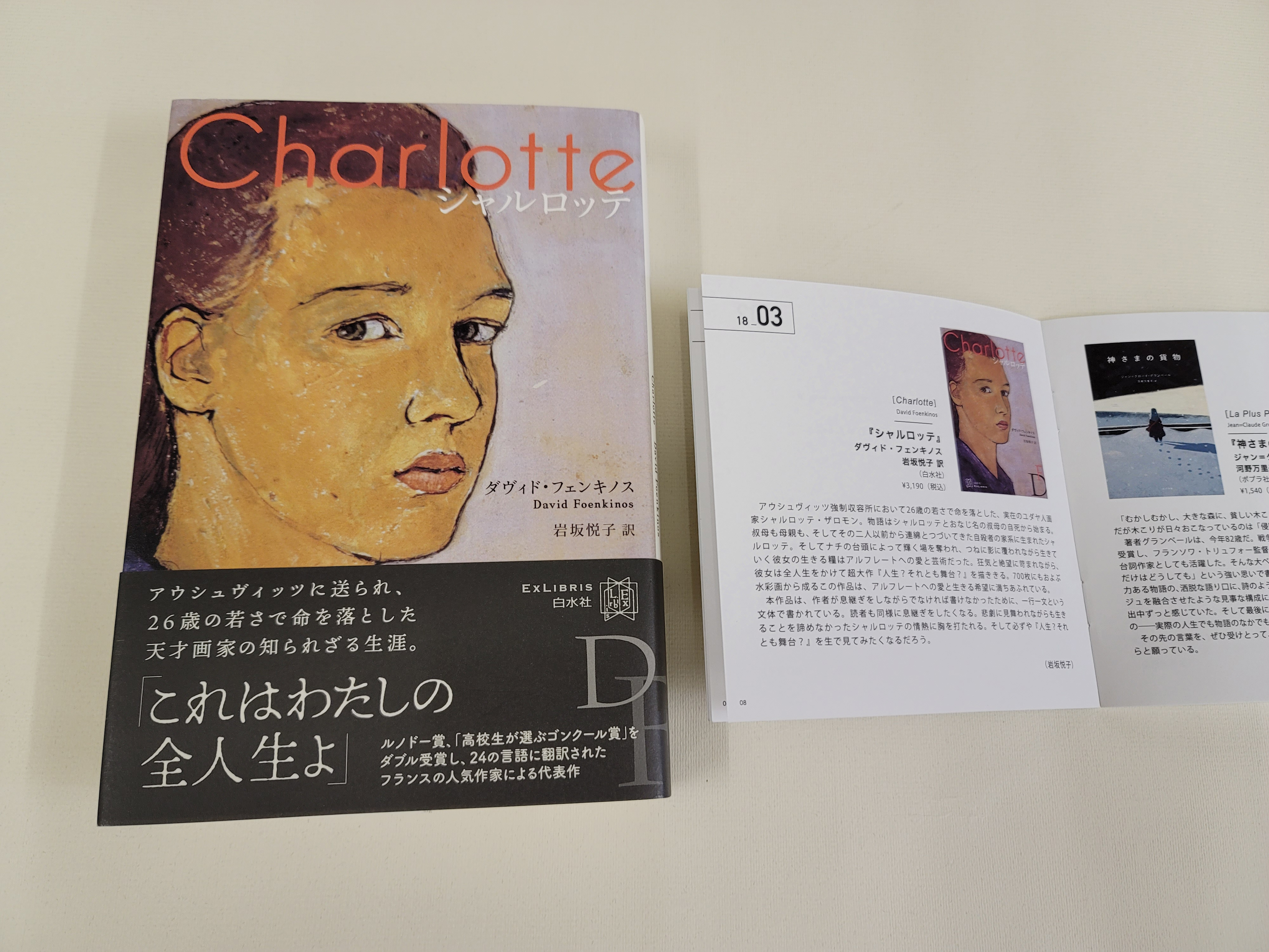 白水社 いつも充実のフリーブックレット Bookmark の最新号は 英語圏以外の本特集 Other Voices Other Places シャルロッテ 俺の歯の話 忘却についての一般論 他 よりすぐりの世界文学が 翻訳者のコメント入りで掲載されています ぜひご