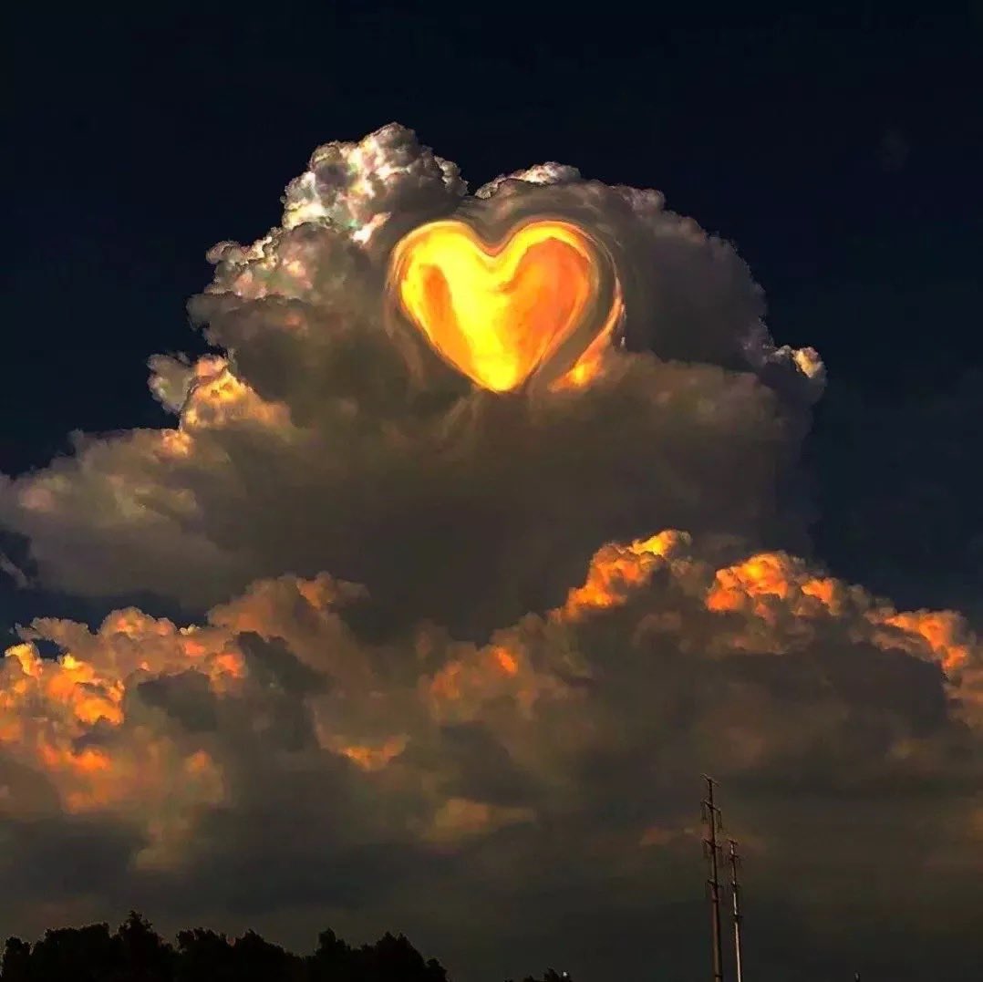 请大家不要鸣笛，我老板们在高考