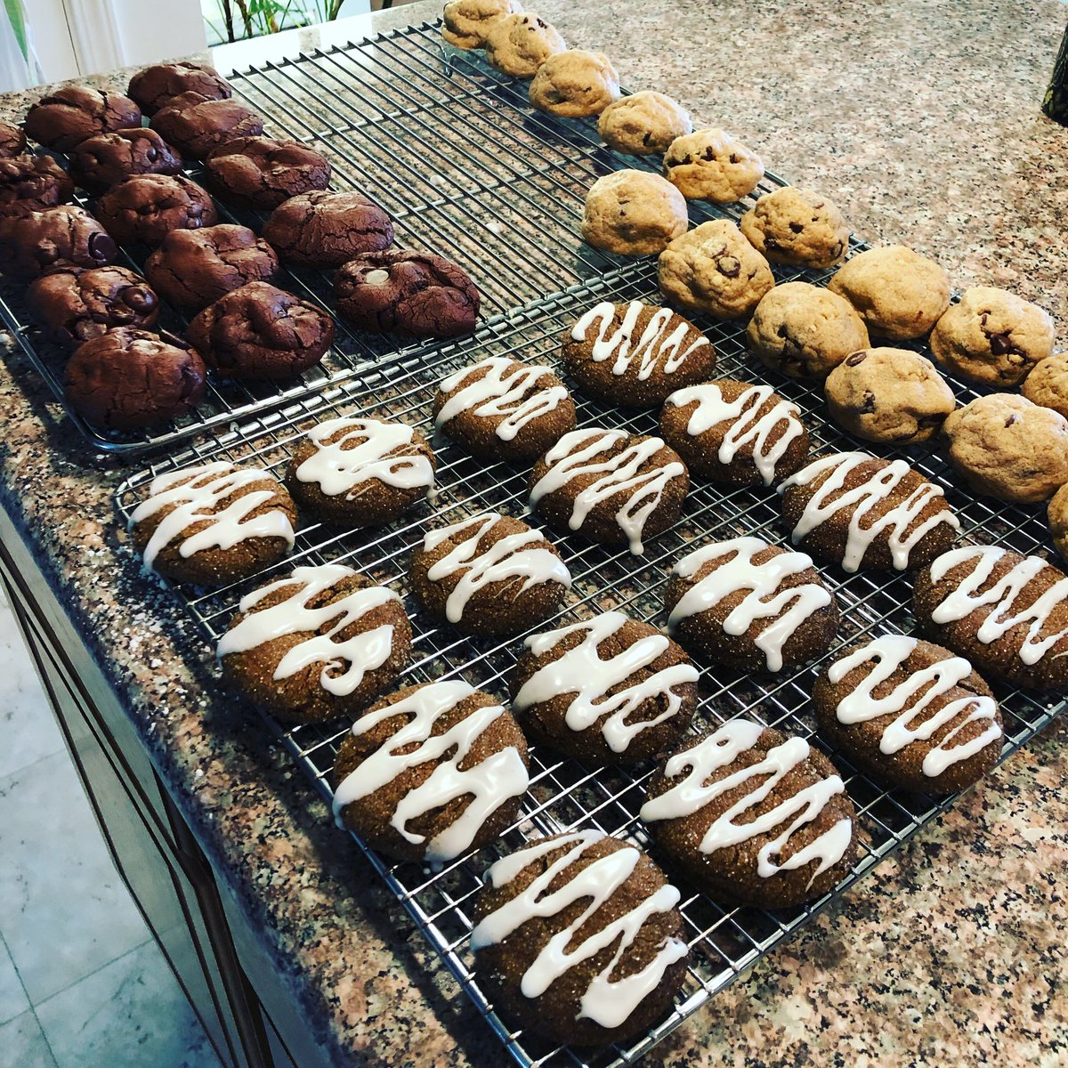 Mandatory meetings with the program manager should always include snacks. Iced molasses spice, peanut butter chocolate chip, gluten free chocolate chocolate chip.