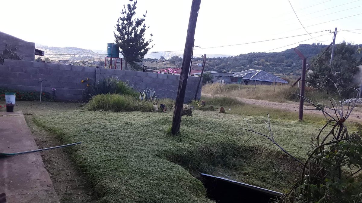 TsekoThapelo's tweet photo. Unkempt lawn is not attractive. Get rid of those nasty bushes and overgrown grass that could harbour rodents this winter.
Get us to clear your yard in and around Botha-Bothe today.
Call us on +26658177900
Don't be the towntalk for untidiness,rather they should eny your yard. https://t.co/jsc863tmQz