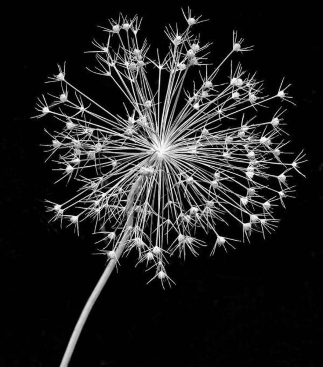 Quinnqueens's tweet photo. @JNathanialC56 @NigamaRv @crystalnapolit2 @RBMichaels1 @harmony_kent @Kellyrei007 @KaceyKells @RidyardColin @claudia_oltean @MQuigley1963 @thomasmkane11 @SharonJ53436239 @LisaThomasBooks @KatieKirman @masonmalonecom @Dwarven_King_SH @HealingThru @geostylegeo @no1worries1 @SassysavvyLia @patwellstx @BryanMatthews23 @SilencePossum @er_mercer @SMBrelver @HhbSmathers @Chrissy_Clarke @maartenvda @LiscottCee @MarciaLynnPaul1 @Ophelia_2021 @h_craggs @HarbeerAhedi Thanks so much Nathanial
More great friends #2follow
@HawkeLiath
@OldeHippieDude
@The_Em_Vega
@EatonKrone
@tristanbtaylor
@sevedabo
@MonzonPb
@TheRealFenella
@KalbMarple
@_RLMT
@NinaIvAndrews
@ionacrv
@bayne_wendy
@SinCityMadame
@ALKentBooks
@Wrix2
@DerekRKing2 https://t.co/t4HEu7b038