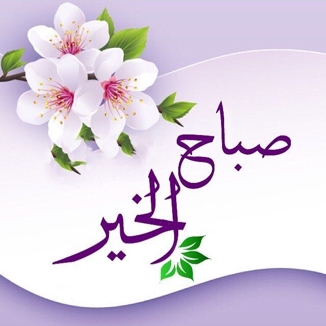 صريح tweet media