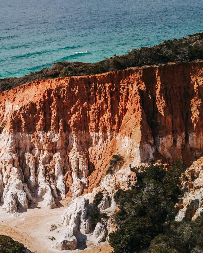 NewSouthWales's tweet photo. Step into a land before time at #BenBoydNationalPark 🦖Nature has been carving this spectacular rock formation known as #ThePinnacles for 65 million years, making this landscape almost as old as the dinosaurs! 🤯 

📸 IG/twosometravellers https://t.co/VmMTLCs4i0