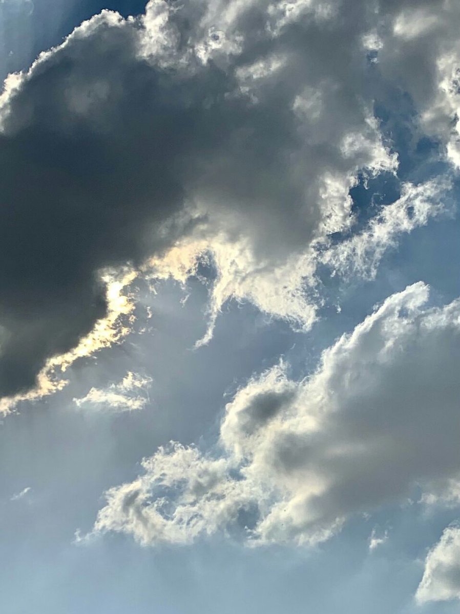 يُقال أن نصف مذاق الشّاي فيمن تُجالس "

صباح الروقـان"