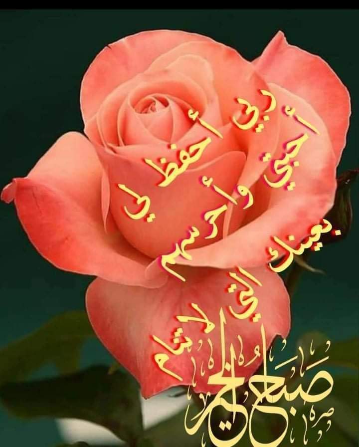 @alyfouany tweet media