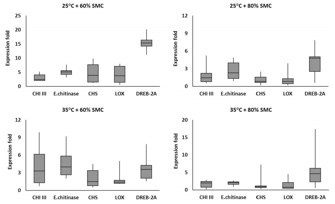 Sharath Chandran US tweet media