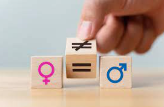 Le 6 juin 2000, la France promulguait la loi sur la parité, qui, entre autres, obligeait les partis politiques à présenter un nombre égal de femmes et d'hommes pour les scrutins en liste. 

La parité dans les instances politiques est un combat que mènent les FCE chaque jour :)