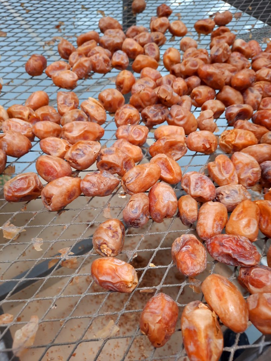 LessTamraat6's tweet image. تمور بالجملة مكبوس
 حسب الطلب
(كميات فقط )🌴🌴

خلاص- خضري -مجدول -
صقعي - سكري
عروض خاصة لأعمال الخير 🌿