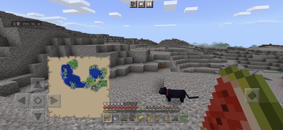 砂利バイオーム