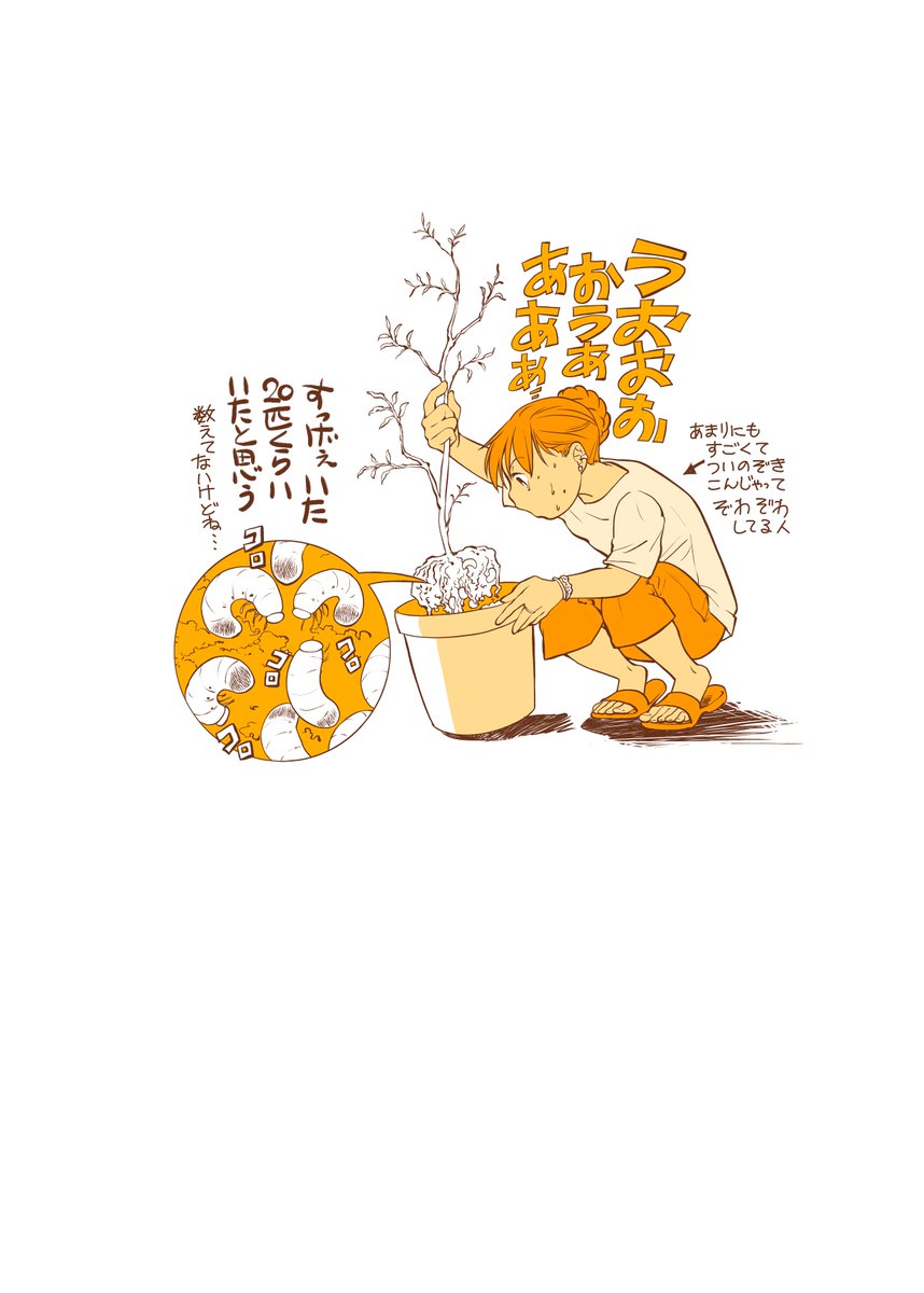 一昨年、根っこに山盛りの虫に住み着かれてしまったような悪夢が起こらないことをひたすら祈る〜。 